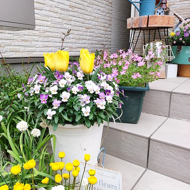 Jijiさんの部屋