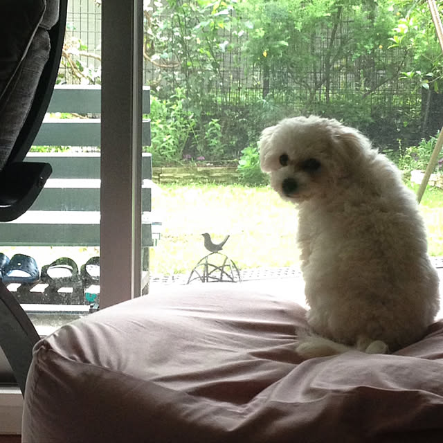 RAMUさんの実例写真