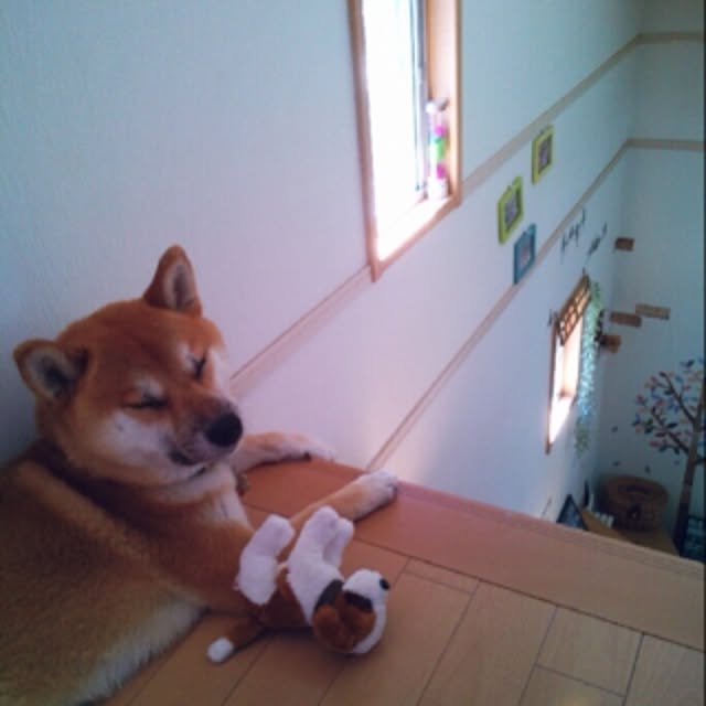 kotaさんの実例写真