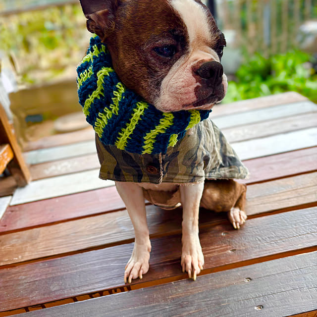 vivicrochetさんの部屋