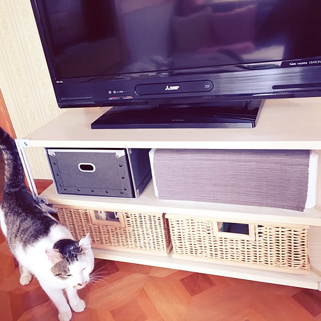 gussuriさんの実例写真