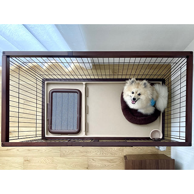 omomさんの実例写真