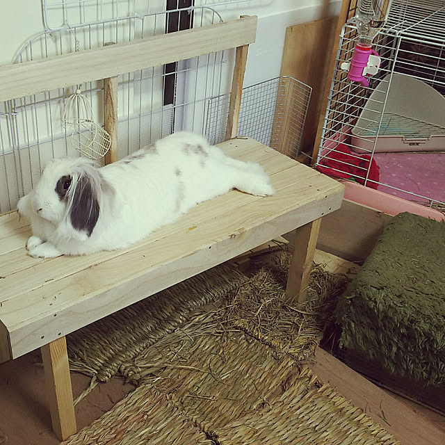 WASABIさんの実例写真