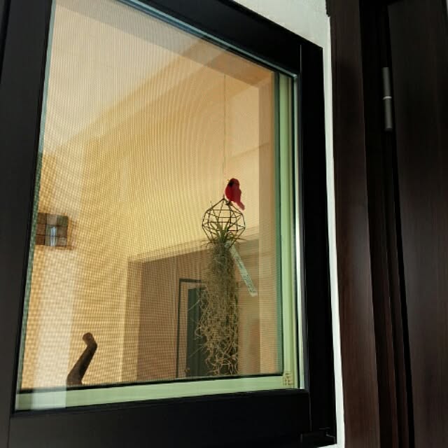 MiRiderさんの実例写真