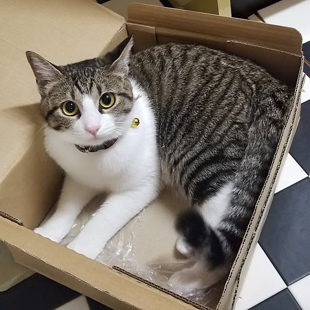 lemoned1126さんの実例写真