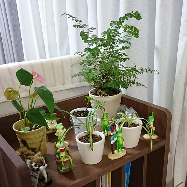 Reikomさんの実例写真