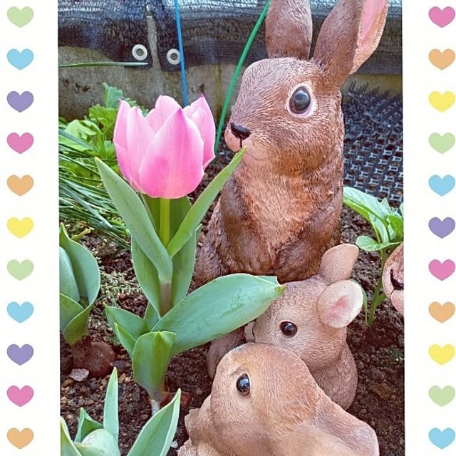 mocomocoさんの実例写真