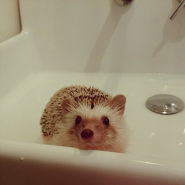 kuruさんの実例写真