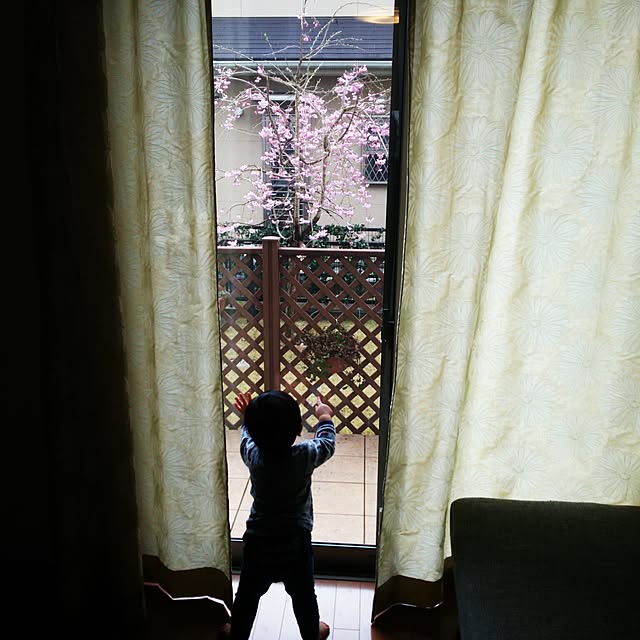 teru-maiさんの実例写真