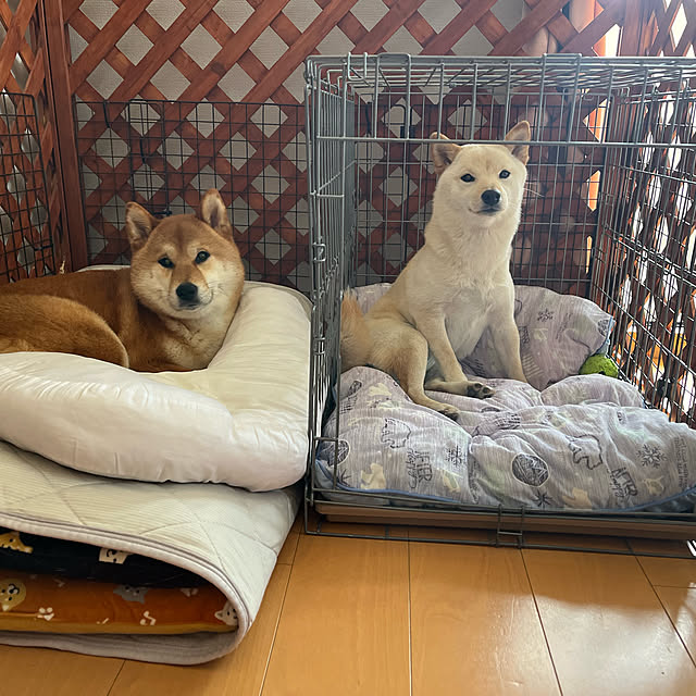 Duchessさんの実例写真