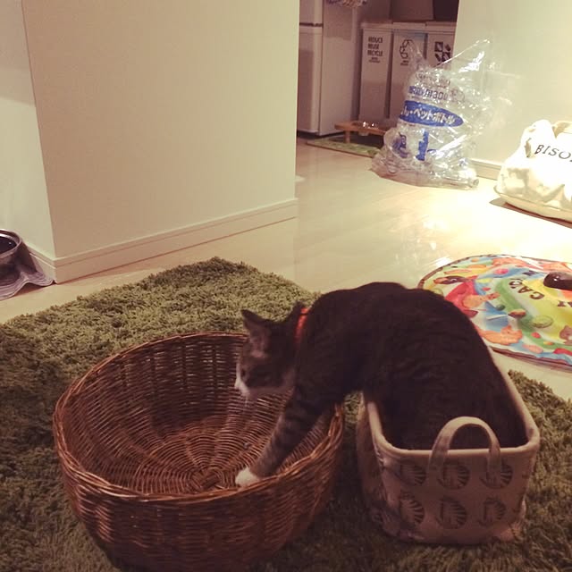 ayapiiiiceさんの実例写真