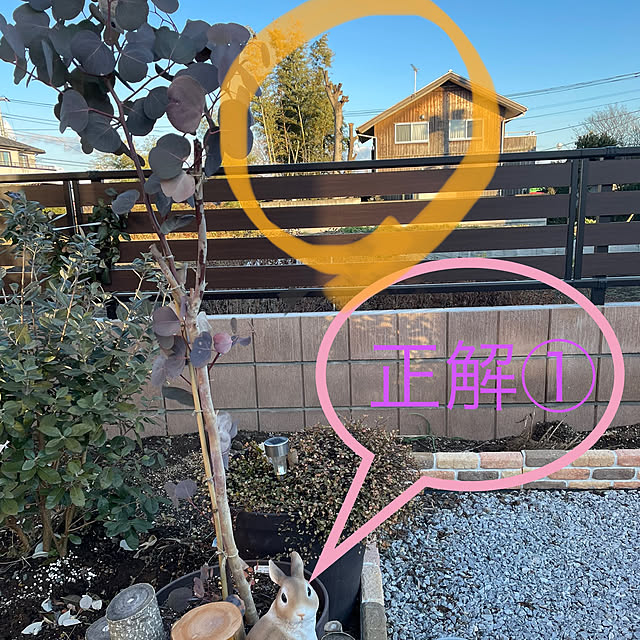 ronronさんの実例写真