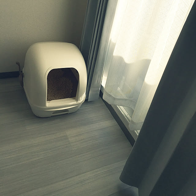 ichicoさんの実例写真