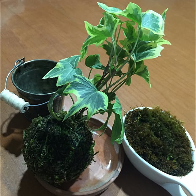 keitinさんの実例写真
