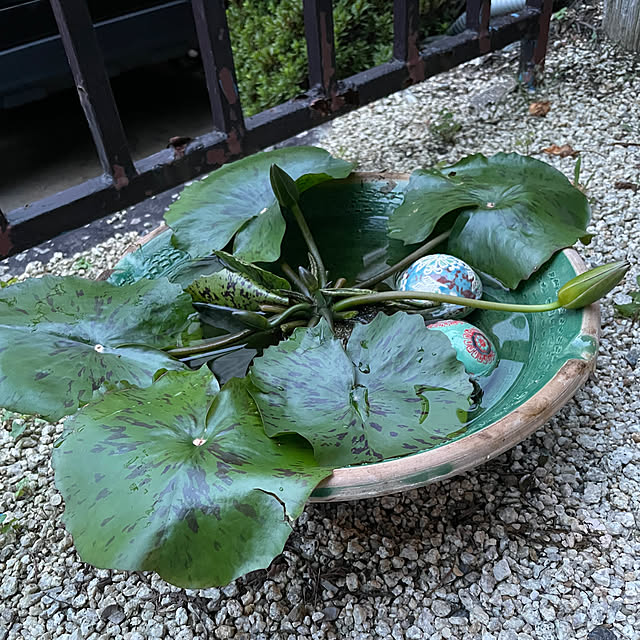 shin0719さんの実例写真