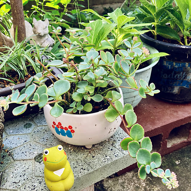 CoCo0617さんの実例写真