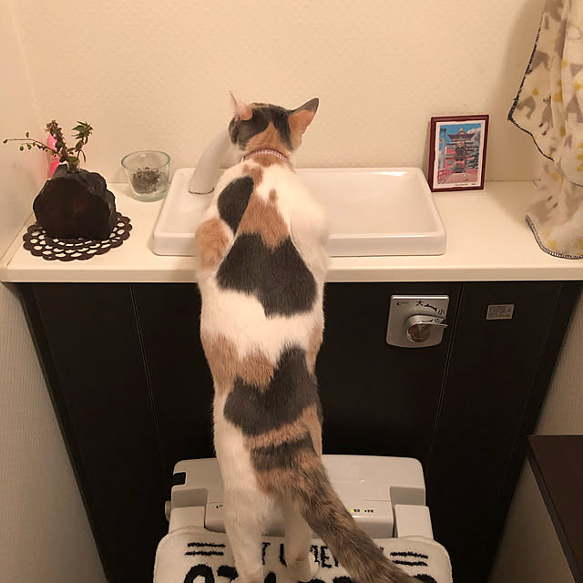 y_09khsm23さんの実例写真