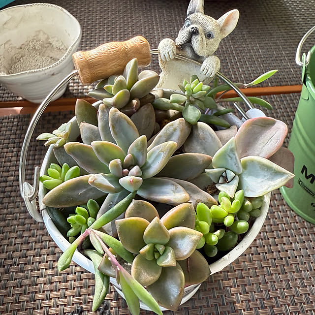 Aqettyさんの部屋