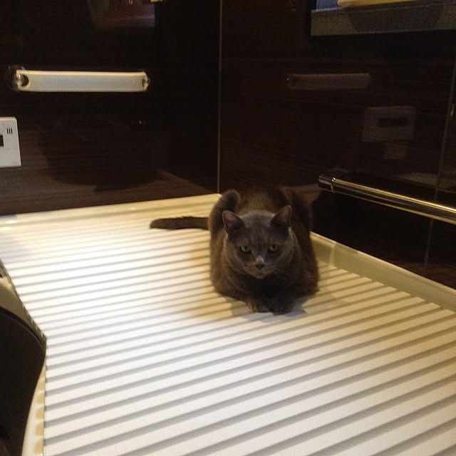 chikaさんの実例写真
