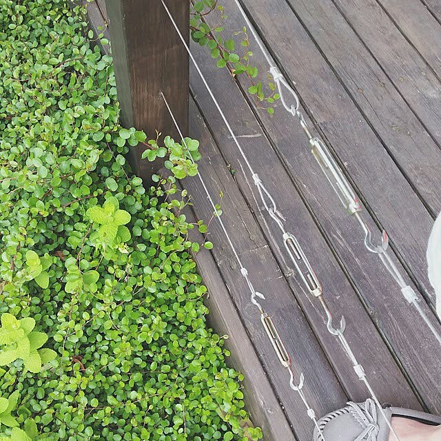 unさんの実例写真