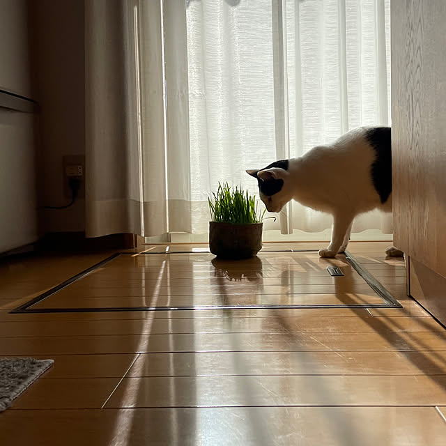 nobikoさんの実例写真