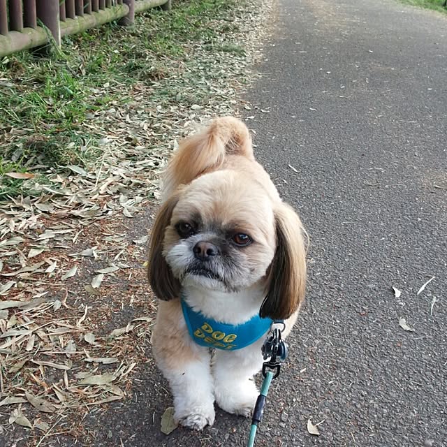 miporinさんの実例写真