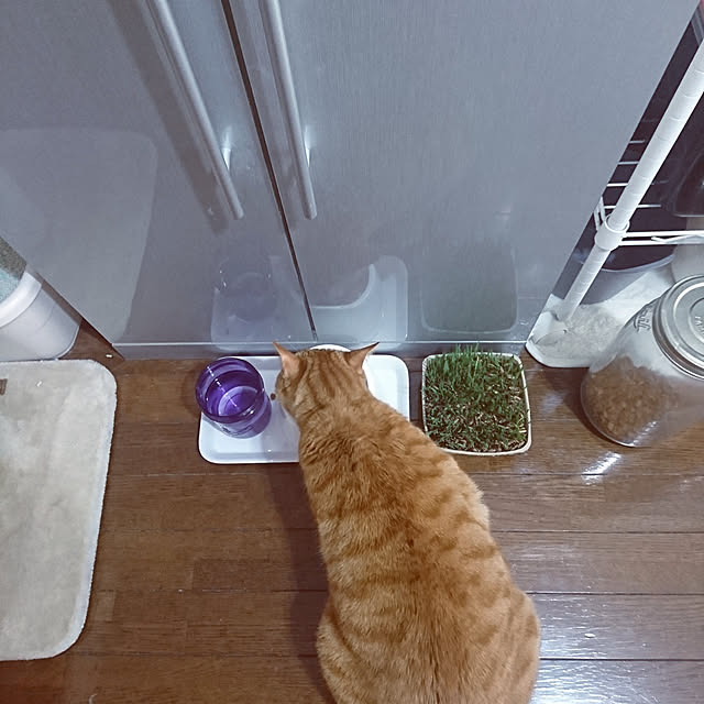 kyoko_aさんの実例写真