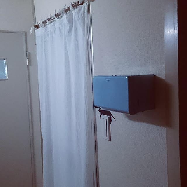 cocoamilk.hisaさんの実例写真