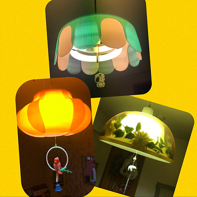 harunatsuakibaさんの実例写真