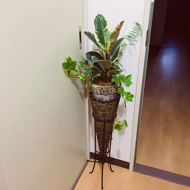 hanachanさんの部屋