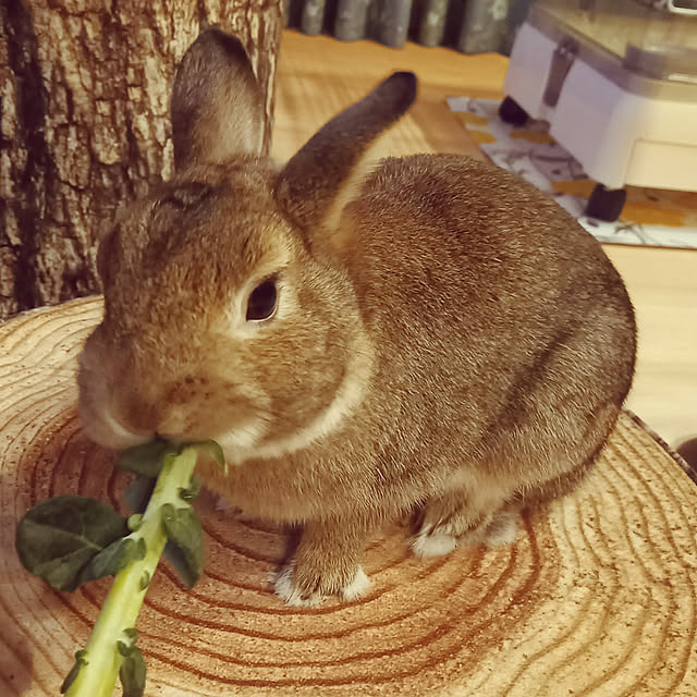 Taku38さんの実例写真