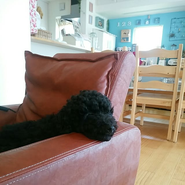 ChocolateNandasさんの実例写真