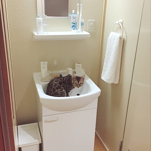 anさんの実例写真