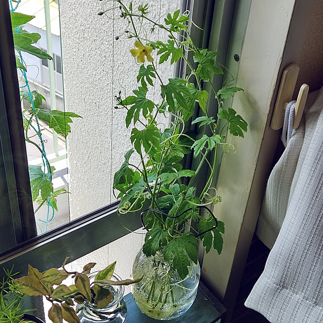 wakaさんの実例写真