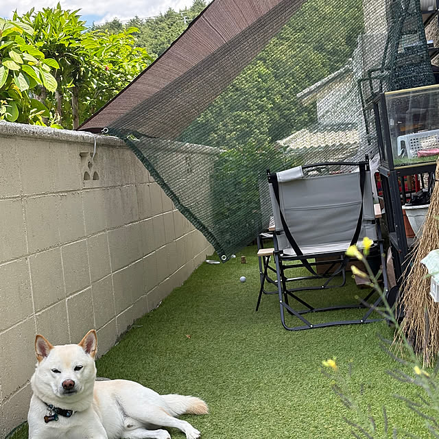 Toyomiさんの部屋