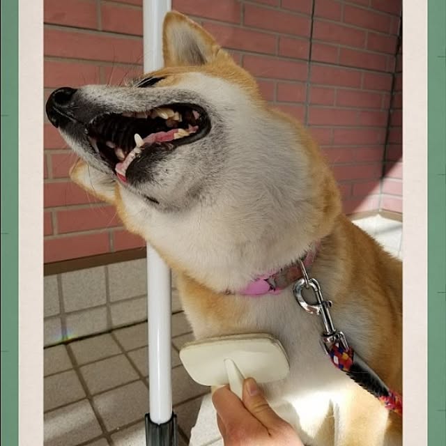 nanaさんの部屋