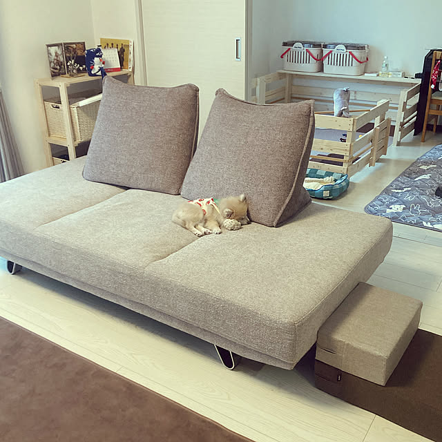 choco.0808kaさんの実例写真