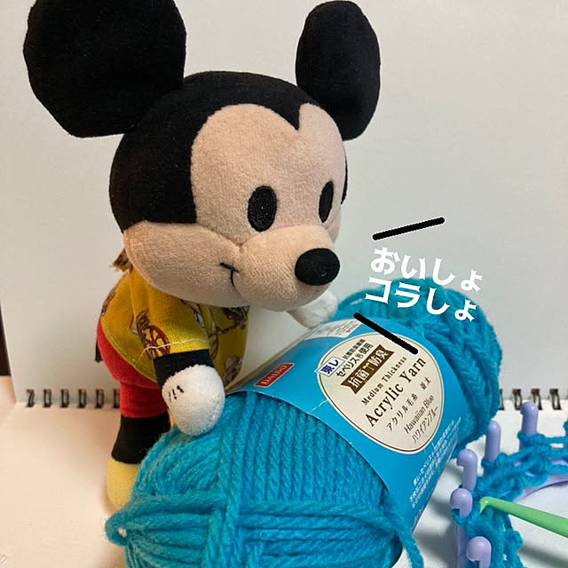 manduonmaさんの実例写真