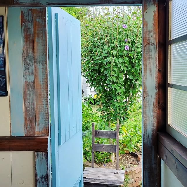 yukiさんの部屋