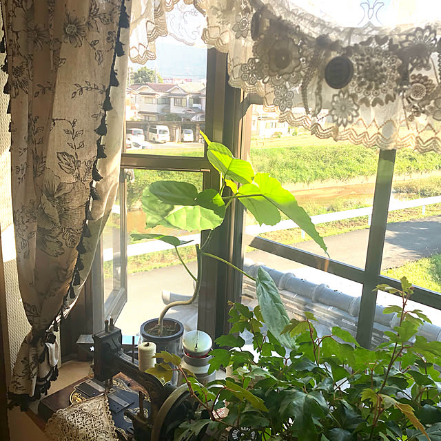 tvxa.nanauno7.12さんの実例写真