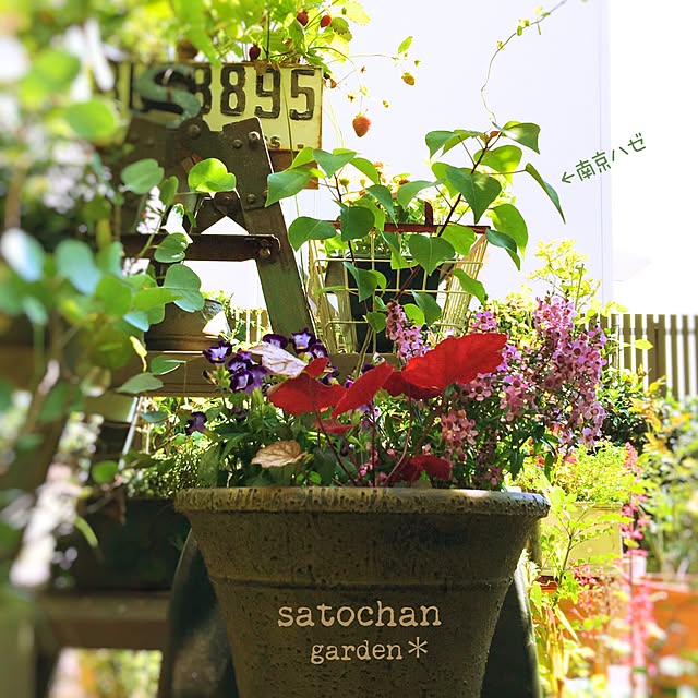 satochanさんの実例写真