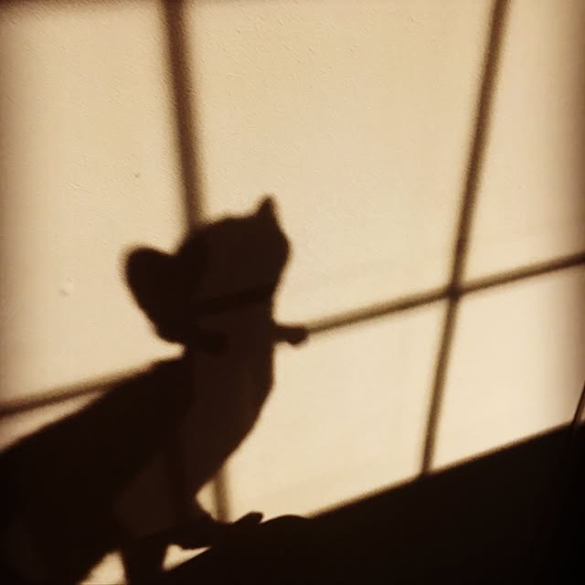 kayuraさんの実例写真