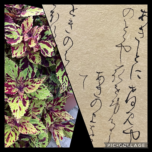 mamizaさんの実例写真