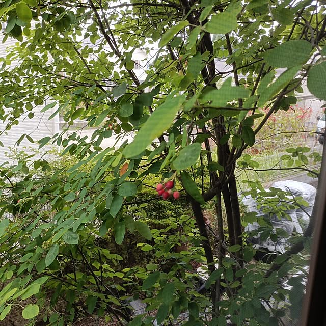 tamachan235さんの実例写真