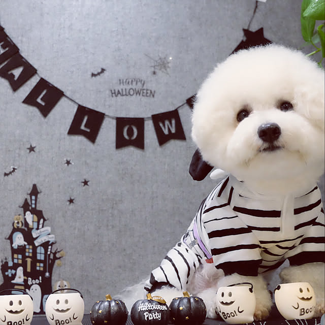 ma_house3101さんの実例写真