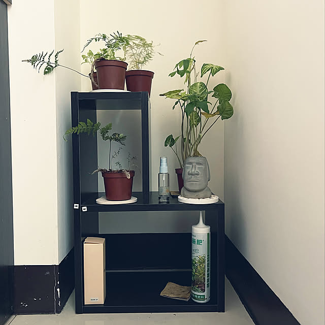 chengan2919さんの実例写真