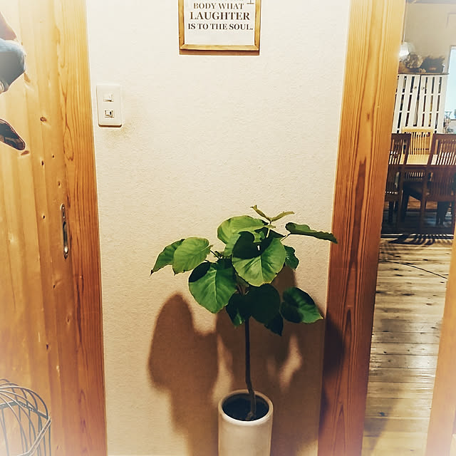 kimagrecoさんの実例写真