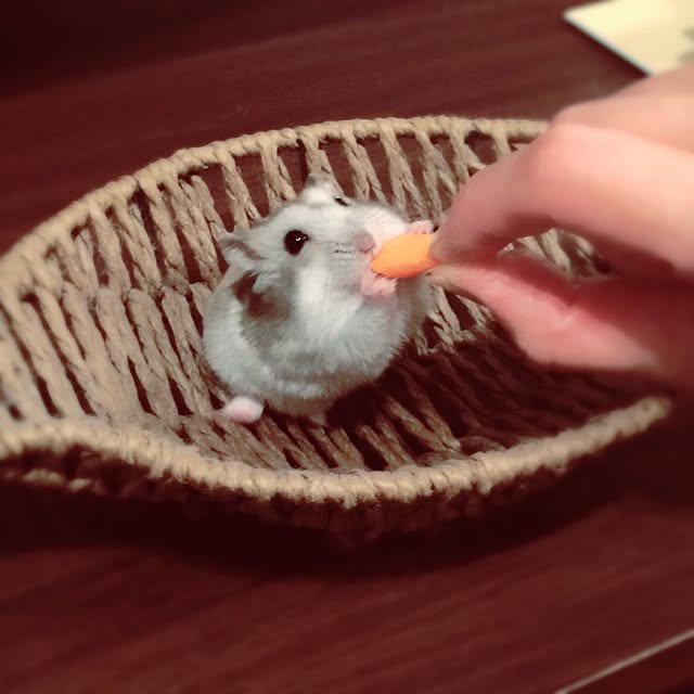 akko-rinさんの実例写真