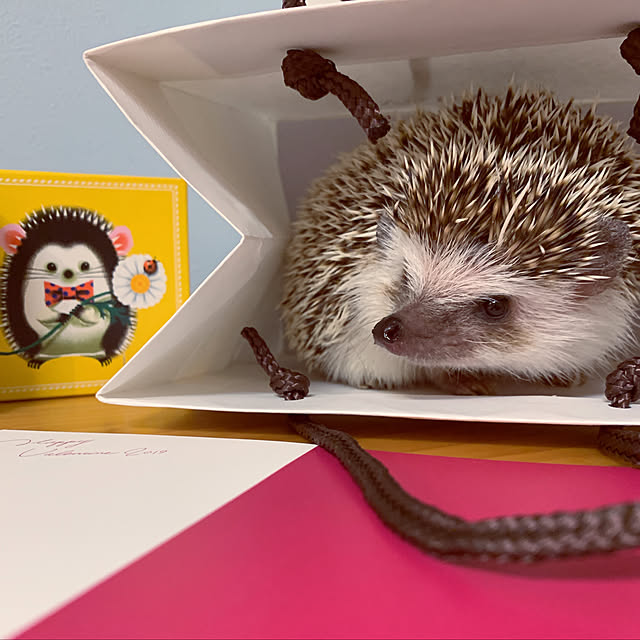 madeleineさんの実例写真