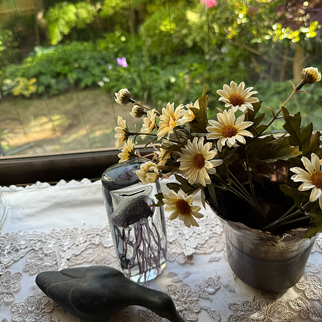 mamizaさんの部屋